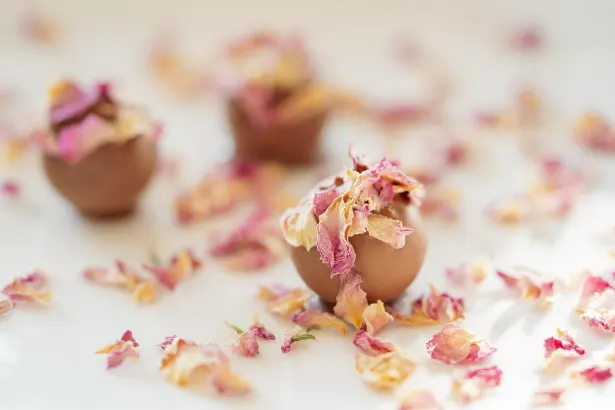 Fever Automaty Kasyno Aplikacja Android/iOS